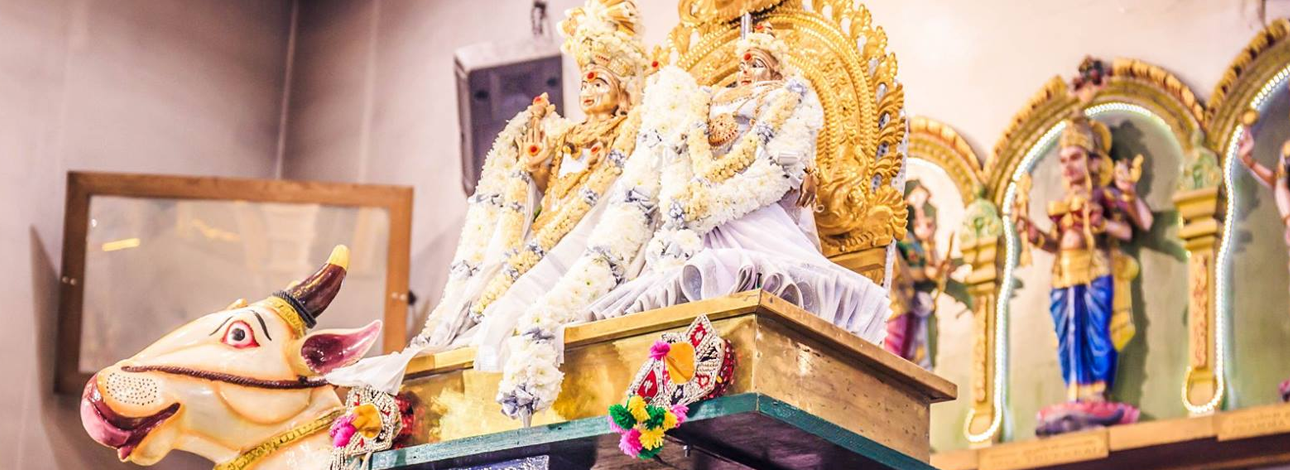 special-pooja-cover special-pooja