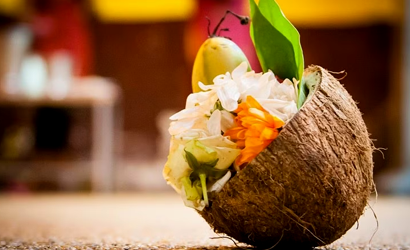 cocunut-Archchanai cocunut-Archchanai
